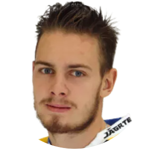 Marek Baránek - Ice hockey player