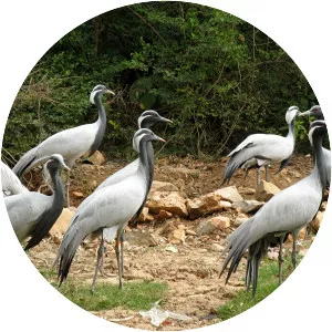 Margalla Hills National Park