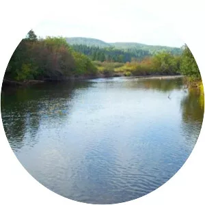 Margaree River