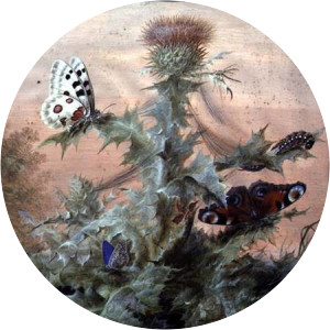 Margareta Barbara Dietzsch