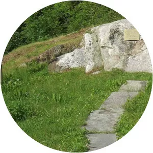 Margherita Boninsegna