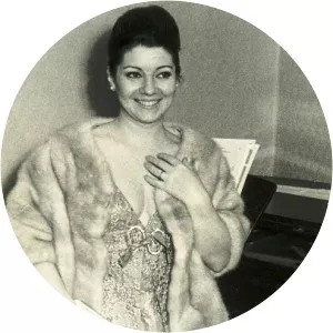 Margherita Guglielmi Musician