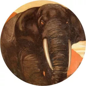 Marguerite Anne de Blonay