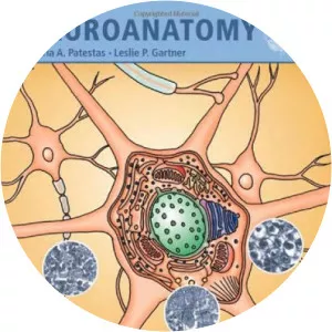 Maria A. Patestas - Author