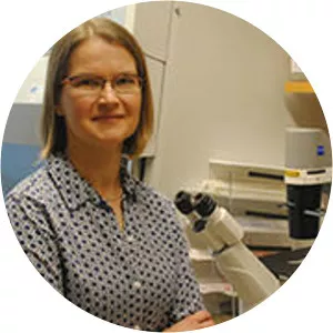 Maria Lehtinen - Researcher