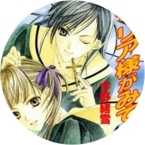 Maria-sama ga Miteru - Novel series