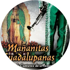 Mariachi Cantares De Mexico
