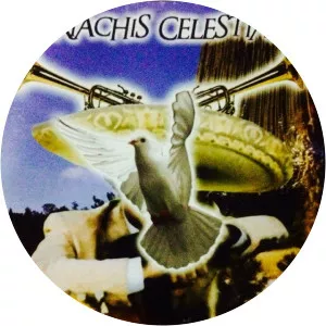 Mariachi Cristiano - Musical artist