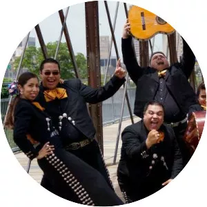 Mariachi Entertainment System