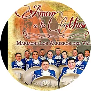 Mariachi los Arrieros del Valle - Musical group