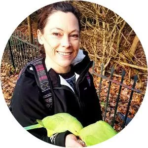 Marianne Taylor - Illustrator