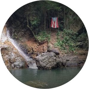 Maricao State Forest - 