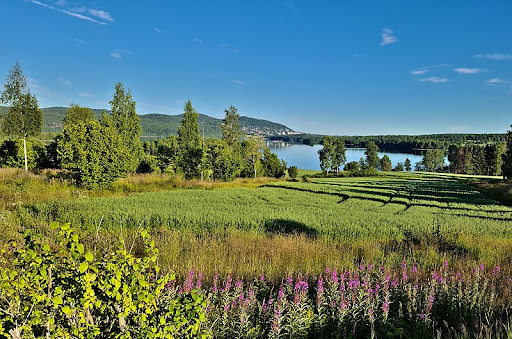 Maridalen Hundepark - Country park in Norway