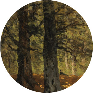 Marie Bilders-van Bosse