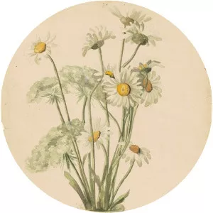 Marietta Minnigerode Andrews