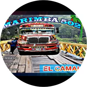 marimba 502 - Musical artist