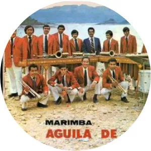 Marimba Águilas de Chiapas