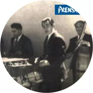 Marimba Ideal - Musical artist