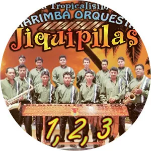 Marimba Orquesta Jiquipilas - Musical artist