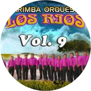 Marimba Orquesta Los Rios - Musical artist