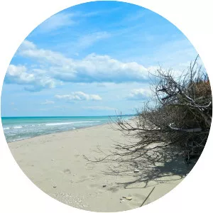 Marina di Petacciato - 