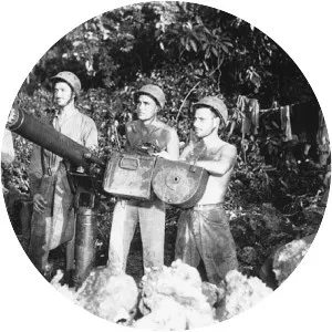 Marine defense battalions