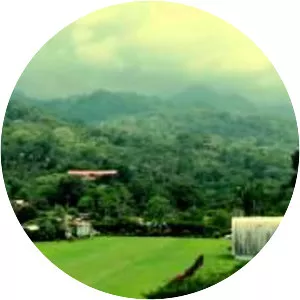 Marino Ballena National Park