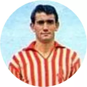 Marino Rossetti