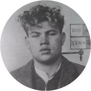 Marinus van der Lubbe