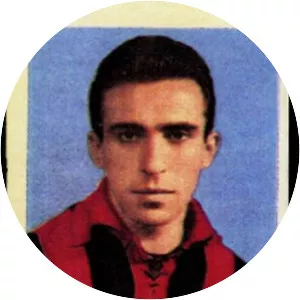 Mario Bergamaschi