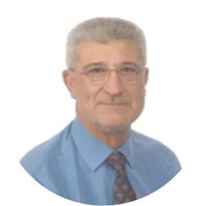 Mario Boccadoro - Researcher