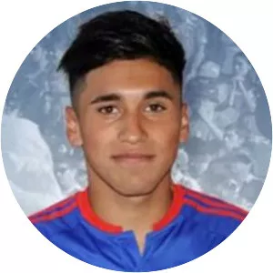 Mario Briceño - Footballer