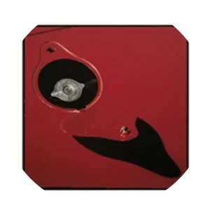 Mario Carrieri - Italian photographer