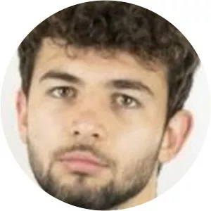 Mario Nikolić - Football player