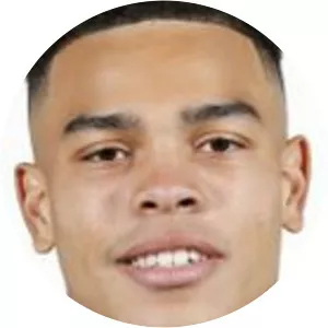 Mario Stroeykens - Belgian footballer