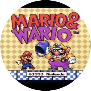 Mario & Wario - Video game