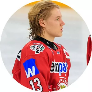 Mario Zimmermann - Ice hockey player