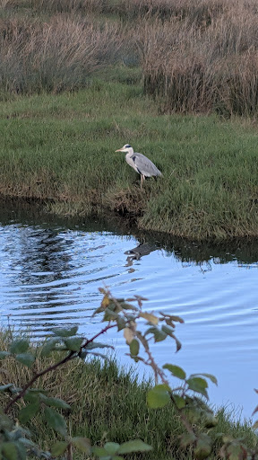Marismas da Xunqueira - Hiking area in Spain