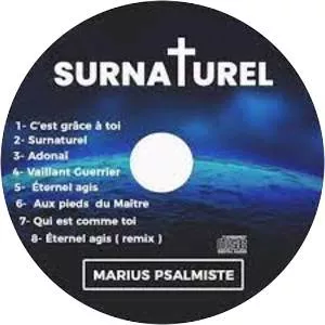 Marius Psalmiste - Musical artist