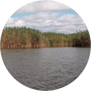 Marjal de Rafalell i Vistabella