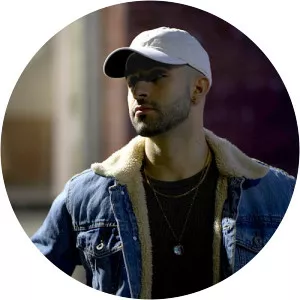 Mark Borino - Musical artist