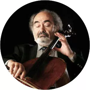 Mark Drobinsky Musician