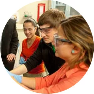 Mark E. Roberts - Author