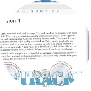 Mark Ibbotson - Author