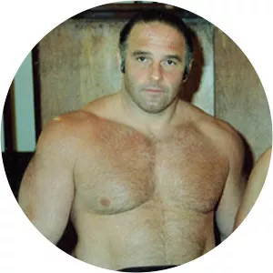 Mark Lewin - American professional wrestler