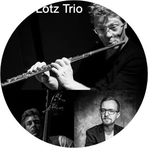 Mark Lotz Trio - Musical artist