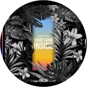 Mark Pettitt - Musical artist