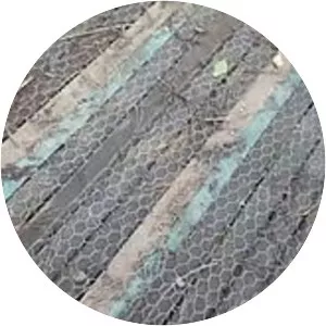 Markeaton Park Light Railway