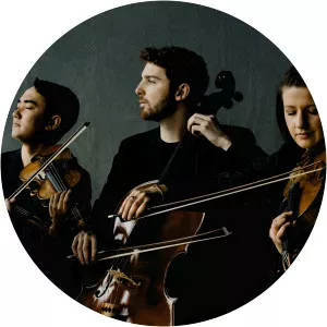 Marmen Quartet - Musical quartet