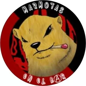 Marmotas en el Bar - Musical group